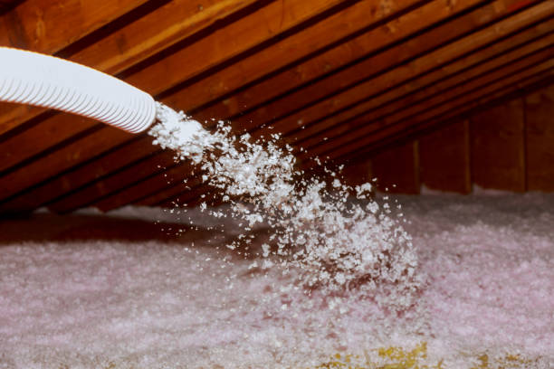 Best Insulation Maintenance and Repair in Benson, AZ