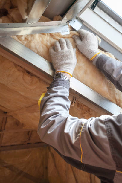 Best Geographic-Specific Insulation Services in Benson, AZ